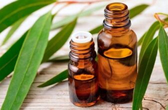 cbdMD CBD review — amber dropper bottles with eucalyptus leaves on wood, editorial wellness still life