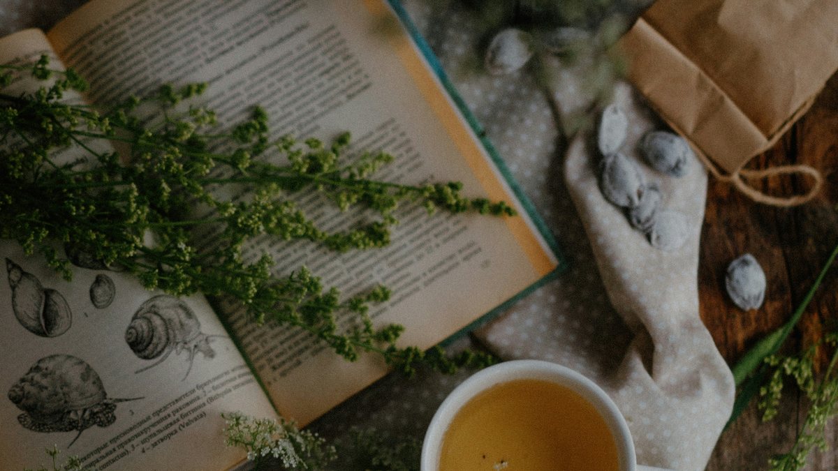 An open book and a cup of herbal tea on a calm, light surface.