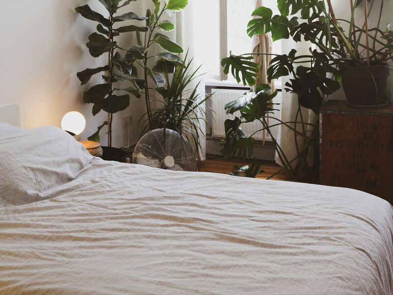 Sleep-friendly bedroom environment