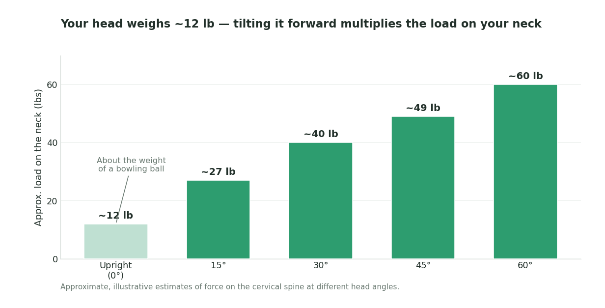 Bar chart showing the approximate load on the neck increasing as the head tilts forward â about 12 lb upright, rising to roughly 27, 40, 49, and 60 lb at 15, 30, 45, and 60 degrees.