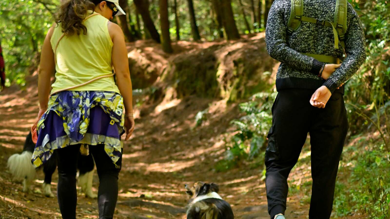 Two older adults walking together on an outdoor trail