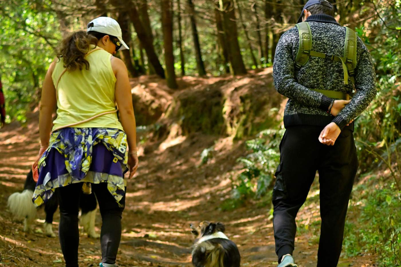 Two people hiking a forest trail with a dog