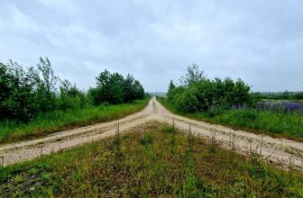 A dirt track dividing into two paths across open countryside