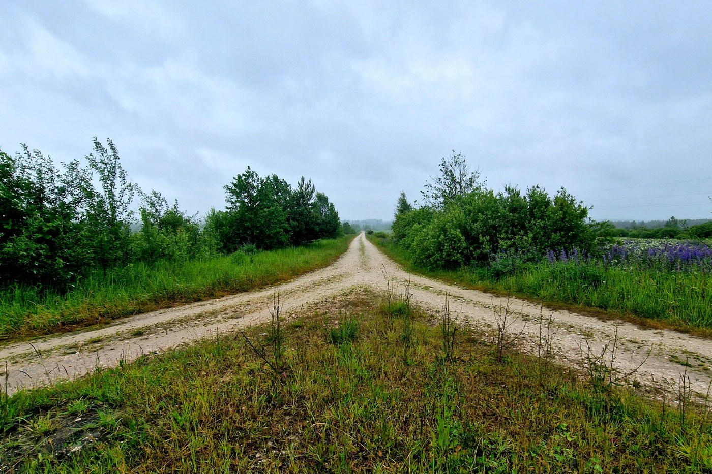 A dirt track dividing into two paths across open countryside