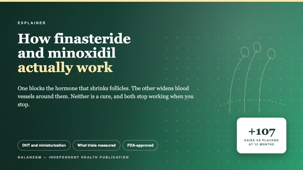 Cover: how finasteride and minoxidil work for pattern hair loss