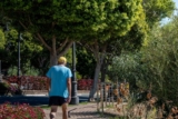 Strut Health Review: What the Service Offers